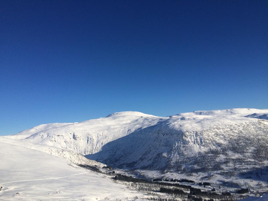 Voss- Myrkdalen Lodge Vossestrand エクステリア 写真